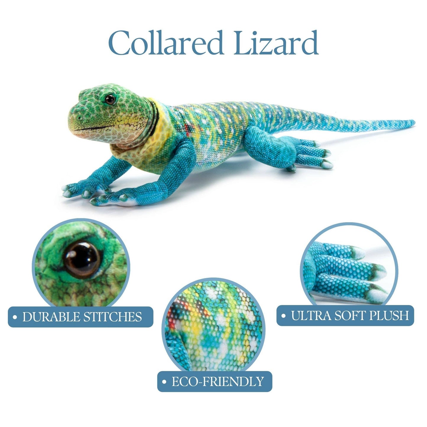 Wild Onez Collared Lizard