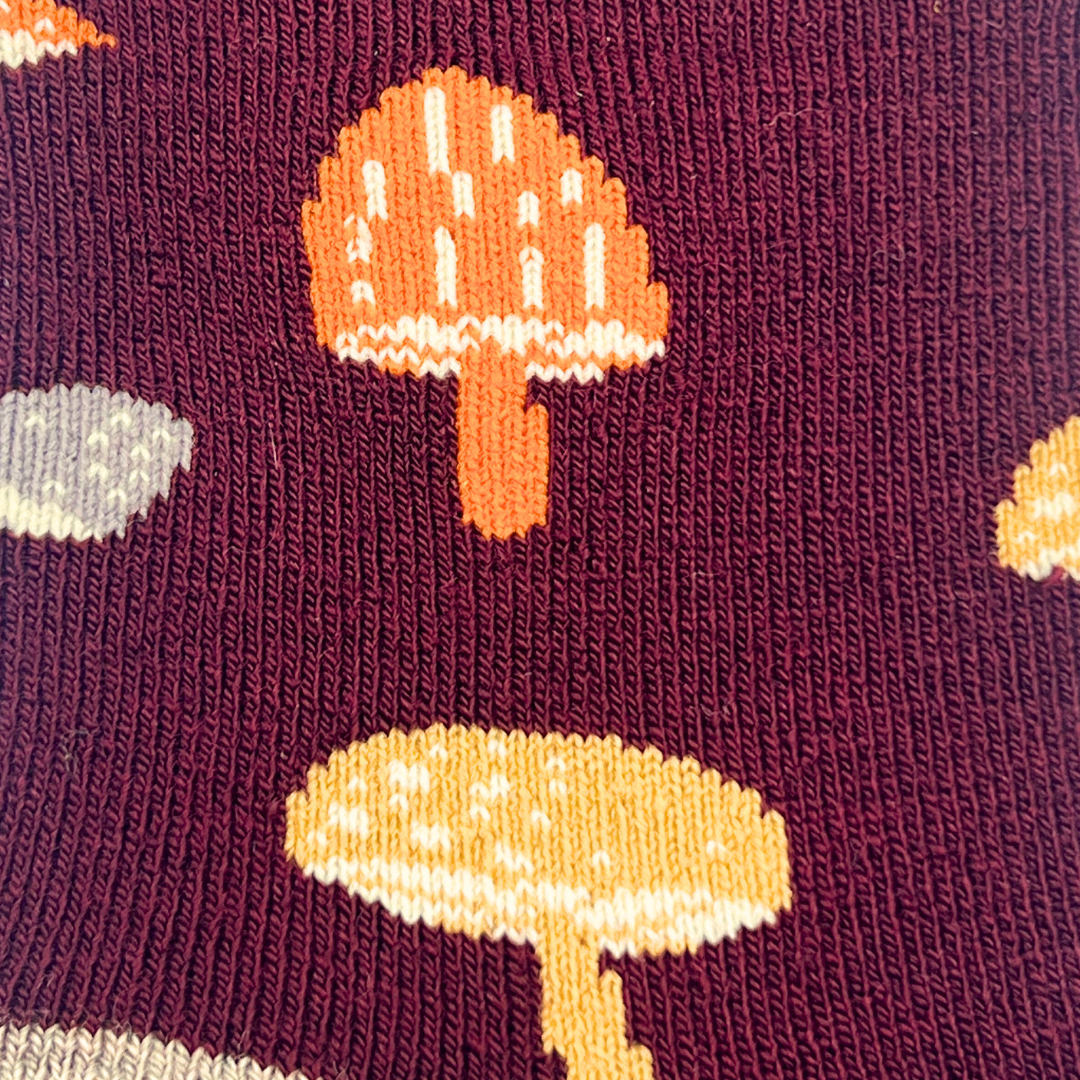 Kid's Mushroom Merino Socks