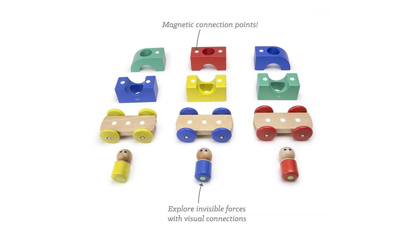 Magnetic Tegu Tram
