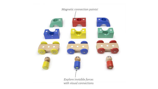 Magnetic Tegu Tram