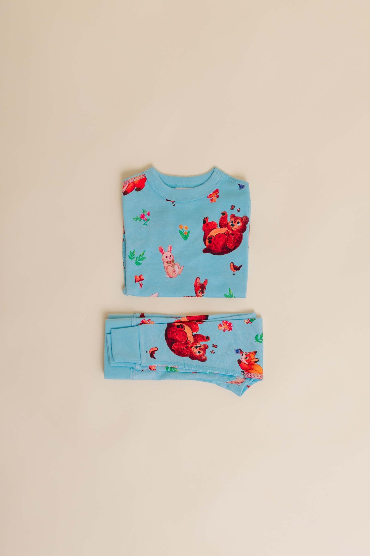 Curious Critters Long Sleeve Sleepwear