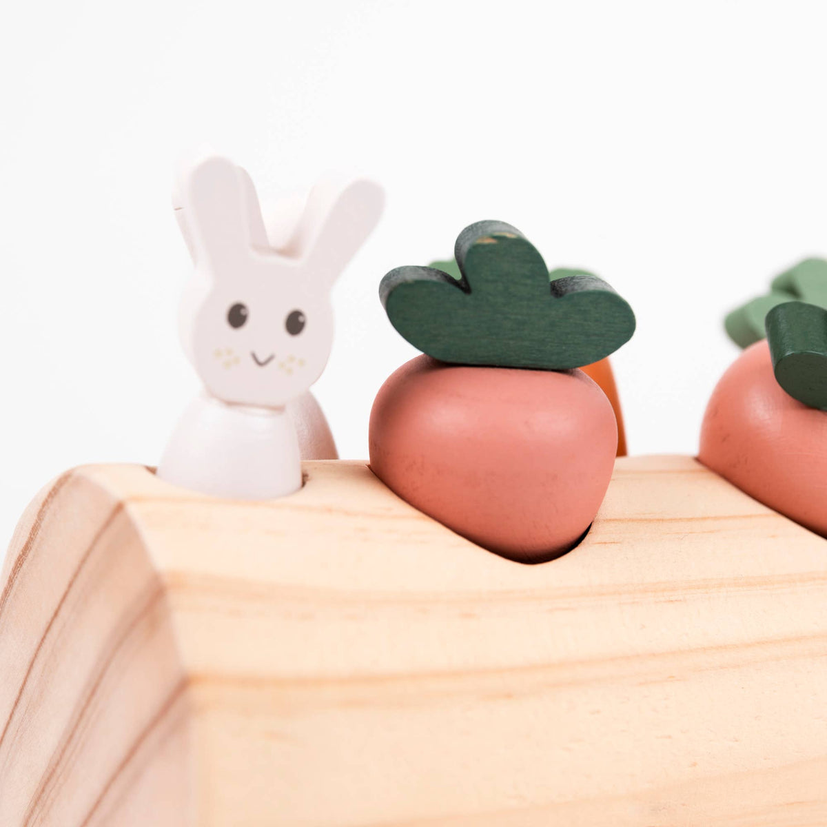 Rabbit and Vegetables Log