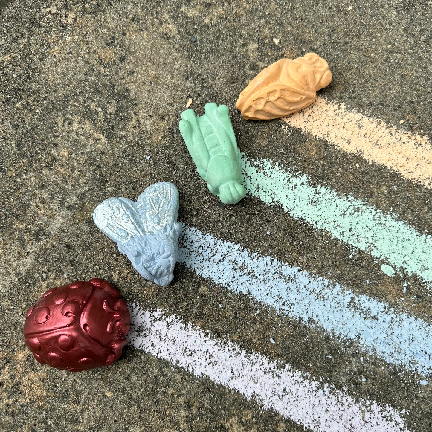 LIAM'S INSECTARIUM | TWEE HANDMADE SIDEWALK CHALK