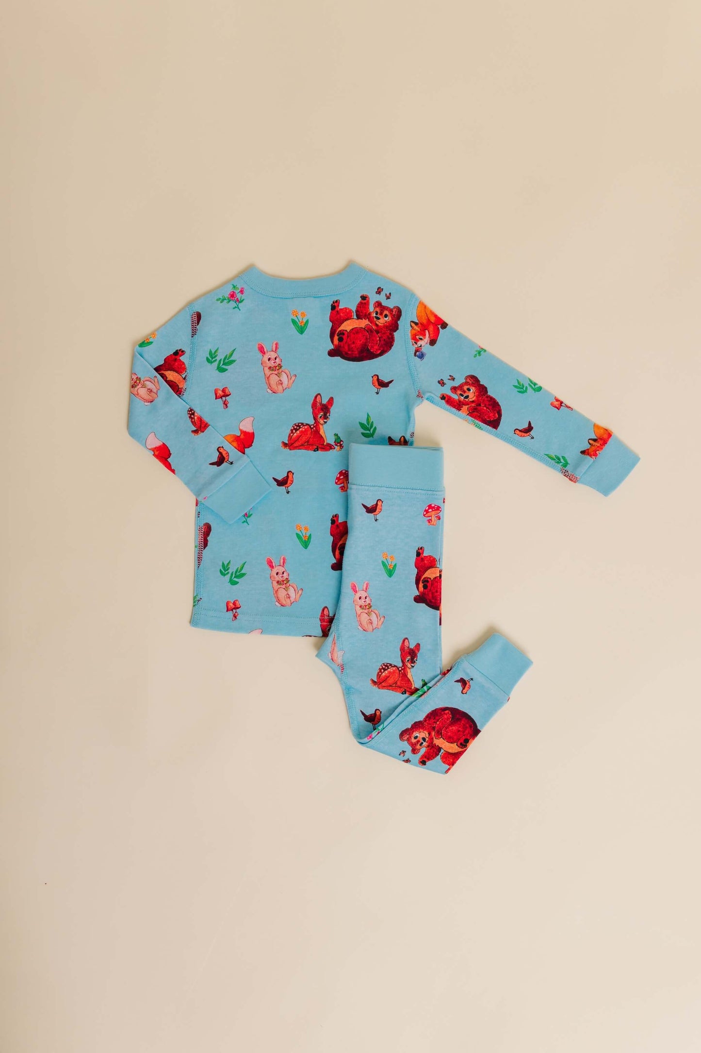 Curious Critters Long Sleeve Sleepwear