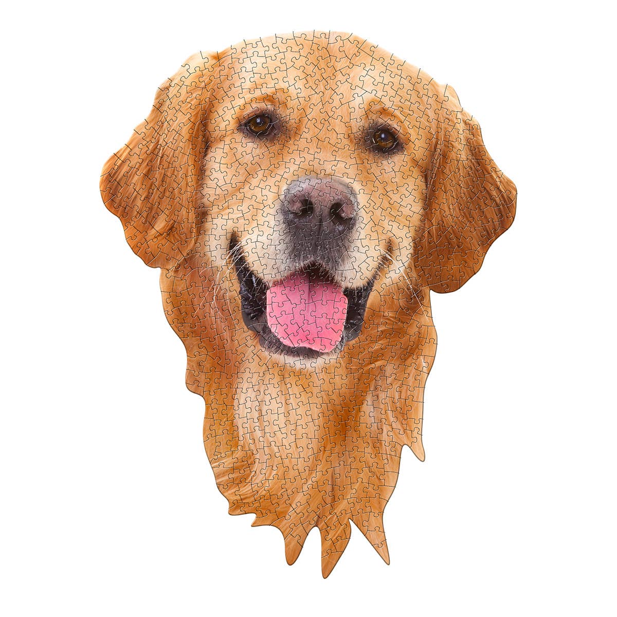 I AM DOG 24