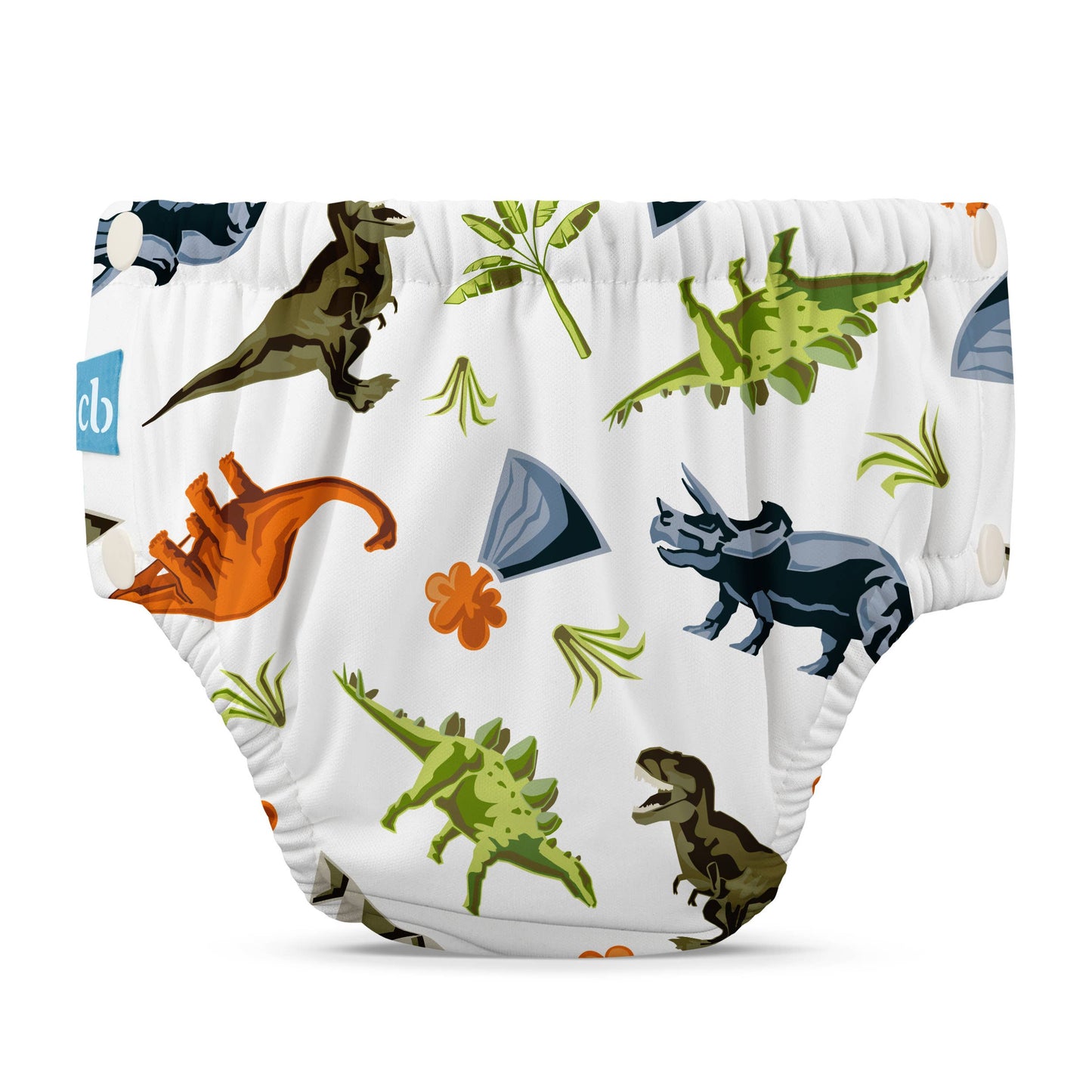 Reusable Swim Diaper with Snaps, Dinosaurs, 1ct