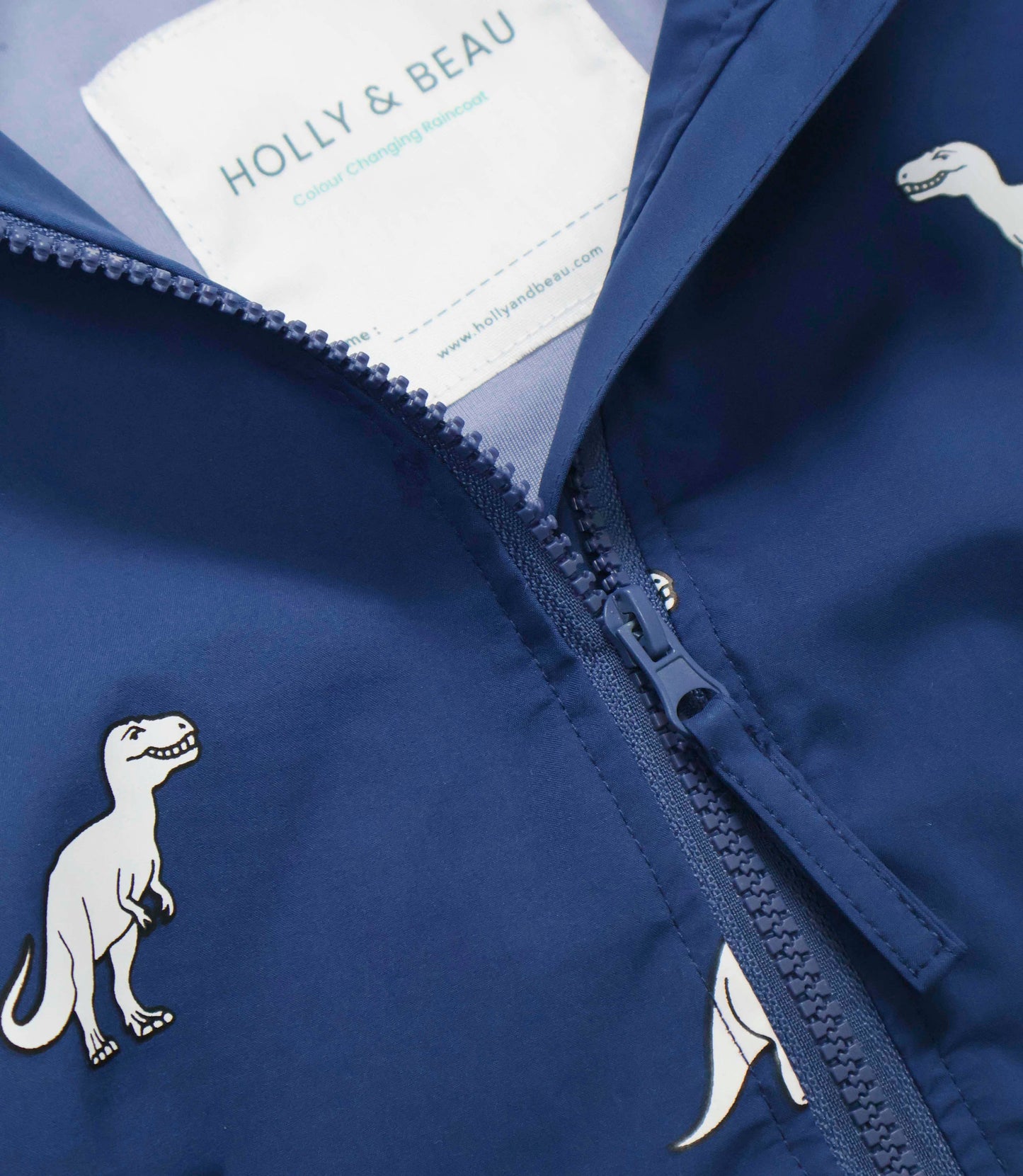 Dinosaur Color Changing Raincoat