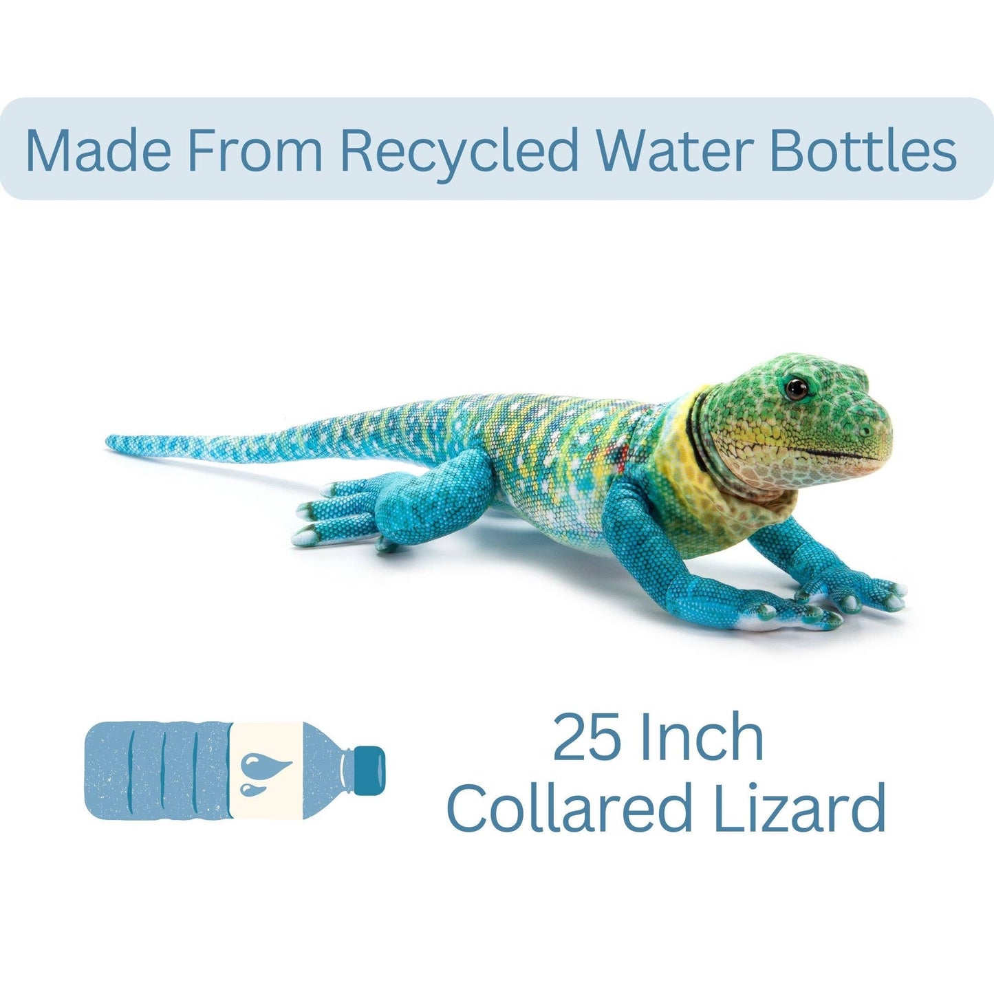 Wild Onez Collared Lizard