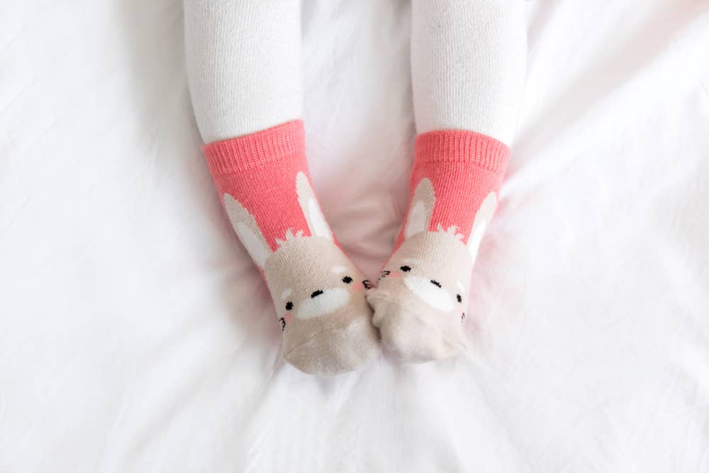 Rabbit Zoo Socks