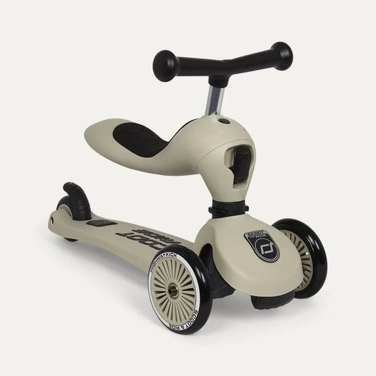 2-in-1 Ride-On and Kickboard Scooter