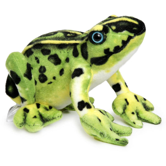 Frisco The Frog | 10 Inch Stuffed Animal Plush