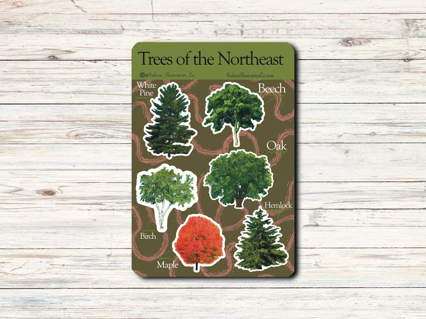 Trees of the Northeast Sticker Sheet