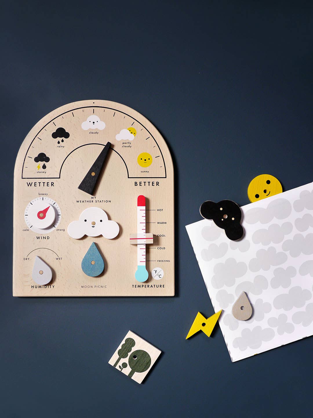 My Weather Station - Wooden Activity Set