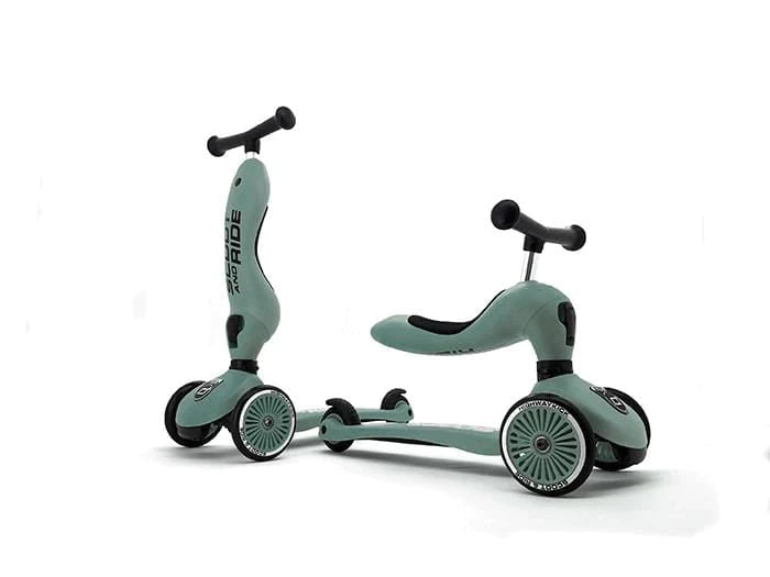 2-in-1 Ride-On and Kickboard Scooter